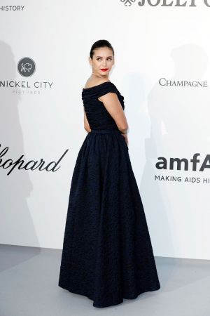 AmfAR001.jpg