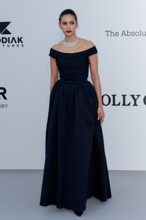 amfAR037.jpg
