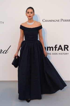 amfAR100.jpg