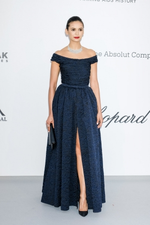 amfAR103.jpg