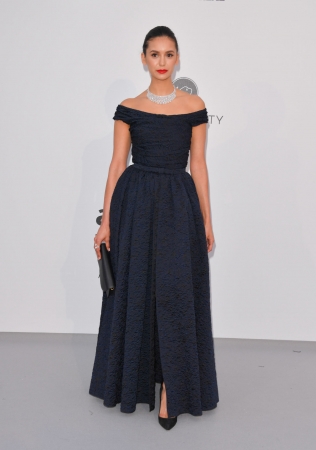 amfAR18.jpg