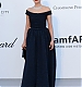 amfAR011.jpg