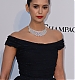 amfAR078.jpg