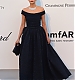 amfAR100.jpg