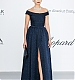 amfAR103.jpg