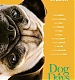 dog01.jpg