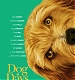 dog03.jpg
