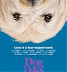dog04.jpg