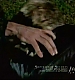 SECRET_855.JPG