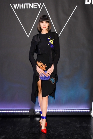 Nina_Dobrev_-_2017_Whitney_Art_Party_13.jpg