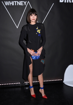 Nina_Dobrev_-_2017_Whitney_Art_Party_27.jpg