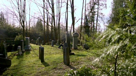 TVD_180.JPG
