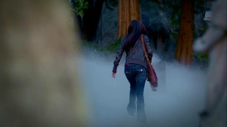 TVD_218.JPG