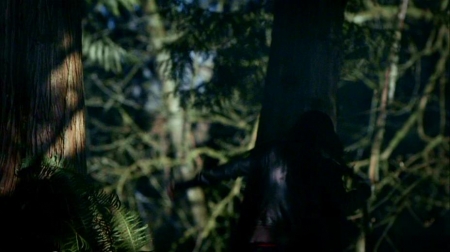 TVD_224.JPG