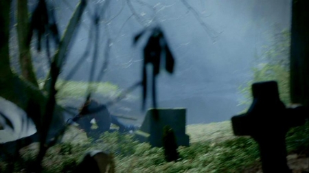 TVD_225.JPG