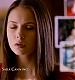 TVD_011.JPG