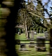 TVD_039.JPG
