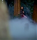 TVD_221.JPG
