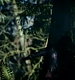 TVD_224.JPG