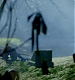TVD_225.JPG