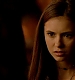 TVD_382.JPG