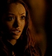 TVD_383.JPG