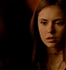 TVD_384.JPG