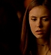 TVD_385.JPG