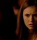 TVD_388.JPG