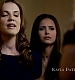 TVD_032.JPG