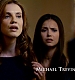 TVD_036.JPG