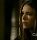 TVD_206.JPG