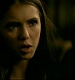 TVD_239.JPG