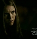 TVD_254.JPG