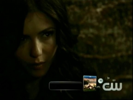 TVD0438.jpg