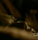 TVD0280.jpg