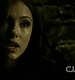 TVD0732.jpg