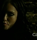 TVD0736.jpg