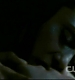 TVD1048.jpg