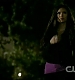 TVD1050.jpg