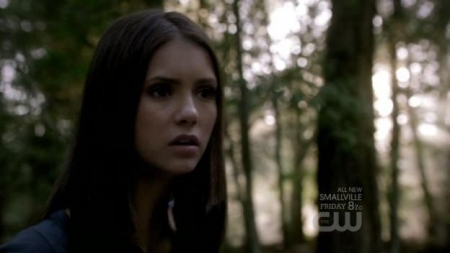 TVD_275.JPG