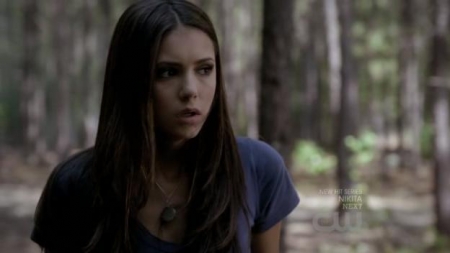 TVD_290.JPG