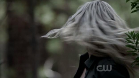 TVD_338.JPG