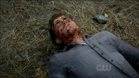 TVD0211.jpg