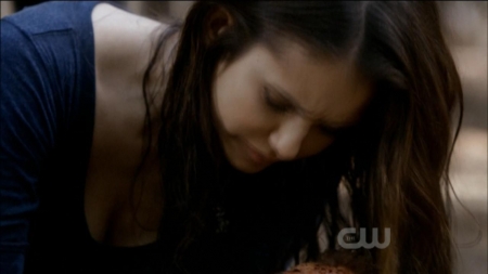 TVD0217.jpg