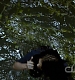 TVD0194.jpg