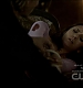 TVD0019.jpg