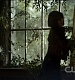 TVD0071.jpg