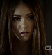 TVD0078.jpg