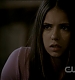 TVD0157.jpg